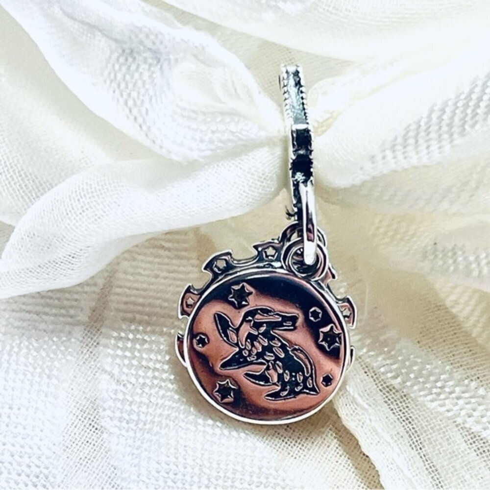 🦡✨ NWOT Hufflepuff Charm – Harry Potter Magic ⚡